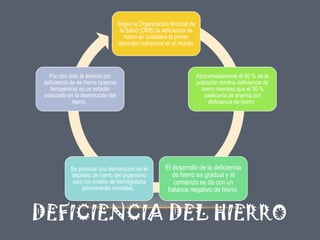 Según la Organización Mundial de
la Salud (OMS) la deficiencia de
hierro se considera el primer
desorden nutricional en el mundo.

Por otro lado la anemia por
deficiencia de de hierro (anemia
ferropénica) es un estadío
avanzado en la disminución del
hierro.

Se produce una disminución en el
depósito de hierro del organismo
pero los niveles de hemoglobina
permanecen normales.

Aproximadamente el 80 % de la
población tendría deficiencia de
hierro mientras que el 30 %
padecería de anemia por
deficiencia de hierro.

El desarrollo de la deficiencia
de hierro es gradual y el
comienzo se da con un
balance negativo de hierro

DEFICIENCIA DEL HIERRO

 