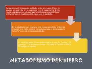 Aunque solo existe en pequeñas cantidades en los seres vivos, el hierro ha
asumido un papel vital en el crecimiento y en la supervivencia de los
mismos y es necesario no sólo para lograr una adecuada oxigenación tisular
sino también para el metabolismo de la mayor parte de las células.

En la actualidad con un incremento en el oxígeno atmosférico el hierro se
encuentra en el medio ambiente casi exclusivamente en forma oxidada (o
férrica Fe3+) y en esta forma es poco utilizable.

En los adultos sanos el hierro corporal total es de unos 2 a 4 gramos ( 2,5
gramos en 71 kg de peso en la mujer o 35 mg/kg) (a 4 gramos en 80kg o
50 mg/kg en los varones).

METABOLISMO DEL HIERRO

 