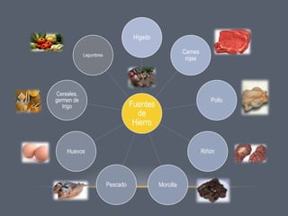 Hígado
Carnes
rojas

Legumbres

Cereales,
germen de
trigo

Pollo

Fuentes
de
Hierro

Huevos

Riñón

Pescado

Morcilla

 