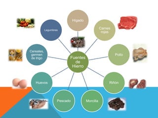 Hígado
Carnes
rojas

Legumbres

Cereales,
germen
de trigo

Pollo

Fuentes
de
Hierro

Huevos

Riñón

Pescado

Morcilla

 