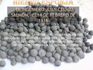 El hierro esponja, tal vez sea la tecnología mexicana más
conocida en el extranjero. Fue desarrollada por la compañía
Hojalata y Lámina (HYLSA) de Monterrey. Sobre dicha
tecnología se informa en la Enciclopedia de Chemicol
Tecnología.
 