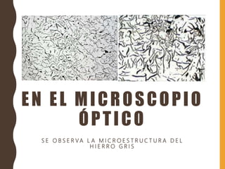 EN EL MICROSCOPIO
ÓPTICO
S E O B S E R VA L A M I C R O E S T R U C T U R A D E L
H I E R R O G R I S
 