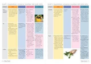 ปิรามิดอาหารเสริมสุขภาพ