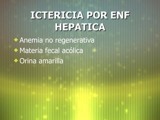 ICTERICIA POR ENF HEPATICA <ul><li>Anemia no regenerativa </li></ul><ul><li>Materia fecal ac ó lica </li></ul><ul><li>Orin...