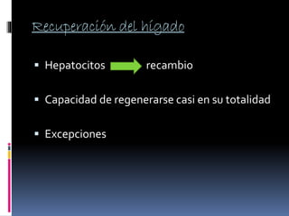 Recuperación del hígado
Hepatocitos recambio
Capacidad de regenerarse casi en su totalidad
Excepciones
