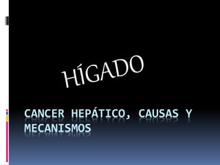 CANCER HEPÁTICO, CAUSAS Y
MECANISMOS
 
