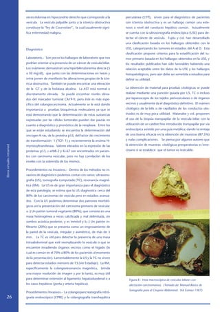 veces dolorosa en hipocondrio derecho que corresponde a la         percutánea (CTP), sirven para el diagnóstico de pacientes
                            vesícula. La vesícula palpable junto a la ictericia obstructiva    con ictericia obstructiva y es un hallazgo común una este-
                            constituye la “ley de Courvoisier”, la cual usualmente signi-      nosis a nivel del conducto hepático común. Actualmente
                            fica enfermedad maligna.                                           se cuenta con la ultrasonografía endoscópica (USE) para de-
                                                                                               tectar el cáncer de vesícula. Fujita y col. han desarrollado
                                                                                               una clasificación basada en los hallazgos obtenidos con la

                            Diagnóstico                                                        USE, categorizando los tumores en estadios del A al D. Esta
                                                                                               clasificación propone criterios para la estadificación del tu-
                            Laboratorio.- Son pocos los hallazgos de laboratorio que nos       mor primario basada en los hallazgos obtenidos en la USE, y
                            podrían orientar a la presencia de un cáncer de vesícula biliar.   los resultados publicados han sido favorables habiendo una
                            Los exámenes demuestran una hiperbilirrubinemia directa (5         relación aceptable entre los datos de la USE y los hallazgos
                            a 30 mg/dl), que junto con las determinaciones en heces y          histopatológicos, pero aún debe ser sometida a estudios para
                            orina ponen de manifiesto las alteraciones propias de la icte-     definir su utilidad.
                            ricia obstructiva. También se puede encontrar una elevación
                            de la GT y de la fosfatasa alcalina. La AST está normal o         La obtención de material para pruebas citológicas se puede

                            discretamente elevada. Se puede encontrar niveles eleva-           realizar mediante una punción guiada por US, TC o incluso

                            dos del marcador tumoral CA19-9, pero éste es más espe-            por laparoscopía de los tejidos perivesiculares o de órganos

                            cífico del colangiocarcinoma. Actualmente se le está dando         vecinos y usualmente da el diagnóstico definitivo. El examen

                            importancia a pruebas bioquímicas moleculares ya que se            citológico de la bilis o de cepillados de los conductos obs-

                            está demostrando que la determinación de estas sustancias          truidos es de muy poca utilidad. Watanabe y col. proponen

                            expresadas por las células tumorales pueden dar pautas en          el uso de la biopsia transpapilar de la vesícula biliar con la

                            cuanto a diagnóstico y pronóstico de la neoplasia. Entre los       utilización de un catéter fino introducido transpapilar por vía

                            que se están estudiando se encuentra la determinación del          endoscópica asistido por una guía metálica; dando la ventaja

                            oncogen K-ras, de la proteína p53, del factor de crecimiento       de una buena eficacia en la obtención de muestras (87.5%)

                            de transformación 1 (TGF-1) y recientemente la enzima N-         y nulas complicaciones. Se piensa por algunos autores que

                            myristoyltransferasa. Valores elevados en la expresión de las      la obtención de muestras citológicas preoperatorias es inne-
libros virtuales intramed




                            proteínas p53, c-erbB-2 y Ki-67 son encontrados en pacien-         cesario si se establece que el tumor es resecable.

                            tes con carcinoma vesicular, pero no hay correlación de los
                            niveles con la sobrevida de los mismos.

                            Procedimientos no Invasivos.- Dentro de los métodos no in-
                            vasivos de diagnóstico podemos contar con varios: ultrasono-
                            grafía (US), tomografía computada (TC), resonancia magné-
                            tica (RM). La US es de gran importancia para el diagnóstico
                            de esta patología; se estima que la US diagnostica cerca del
                            80% de los carcinomas de vesícula pero en estadios avanza-
                            dos. Con la US podemos determinar dos patrones morfoló-
                            gicos en la presentación del carcinoma primario de vesícula:
                            a.-) Un patrón tumoral vegetante (80%), que consiste en una
                            masa heterogénea a veces calcificada y mal delimitada, sin
                            sombra acústica posterior, y es inmóvil y b.-) Un patrón in-
                            filtrante (20%) que se presenta como un engrosamiento de
                            la pared de la vesícula, irregular y asimétrico, de más de 3
                            mm.    La TC es útil para detectar la presencia de una masa
                            intraabdominal que esté reemplazando la vesícula o que se
                            encuentre invadiendo órganos vecinos como el hígado (lo
                            cual es común en el 70% a 80% de los pacientes al momento
                            de la presentación). Lamentablemente la US y la TC no sirven
                            para detectar estadios menores de T3 (ver Estadiaje). La RM,
                            específicamente la colangioresonancia magnética,         brinda
                            una mayor resolución de imagen y por lo tanto, es muy útil
                            para determinar extensión al ligamento hepatoduodenal o a            Figura 8.- Vista macroscópica de vesículas biliares con
                            los vasos hepáticos (porta y arteria hepática).                      afectación carcinomatosa. (Tomado de: Manual Básico de
                                                                                                 Sonografía para el Cirujano Abdominal. NA Gómez 1987)
                            Procedimientos Invasivos.- La colangiopancreatografía retró-
   26                       grada endoscópica (CPRE) y la colangiografía transhepática
 