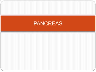 PANCREAS

 