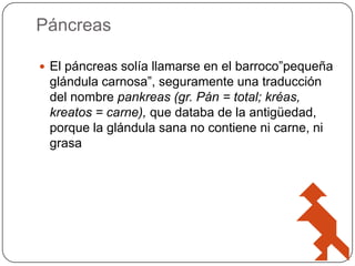 Páncreas
 El páncreas solía llamarse en el barroco”pequeña

glándula carnosa”, seguramente una traducción
del nombre pankreas (gr. Pán = total; kréas,
kreatos = carne), que databa de la antigüedad,
porque la glándula sana no contiene ni carne, ni
grasa

 