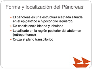 Forma y localización del Páncreas
 El páncreas es una estructura alargada situada

en el epigástrico e hipocóndrio izquierdo
 De consistencia blanda y lobulada
 Localizado en la región posterior del abdomen
(retroperitoneo)
 Cruza el plano transpilórico

 