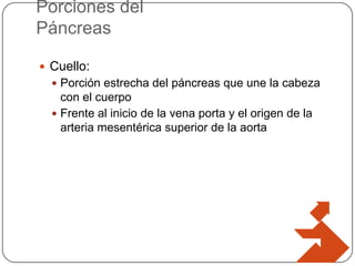 Porciones del
Páncreas
 Cuello:
 Porción estrecha del páncreas que une la cabeza

con el cuerpo
 Frente al inicio de la vena porta y el origen de la
arteria mesentérica superior de la aorta

 