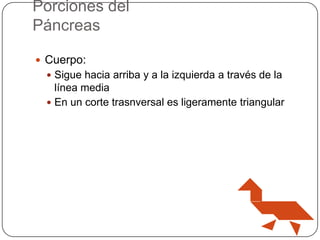 Porciones del
Páncreas
 Cuerpo:
 Sigue hacia arriba y a la izquierda a través de la

línea media
 En un corte trasnversal es ligeramente triangular

 
