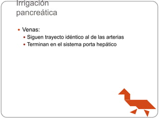 Irrigación
pancreática
 Venas:
 Siguen trayecto idéntico al de las arterias
 Terminan en el sistema porta hepático

 