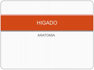 HIGADO
ANATOMIA

 