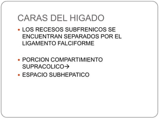 CARAS DEL HIGADO
 LOS RECESOS SUBFRENICOS SE

ENCUENTRAN SEPARADOS POR EL
LIGAMENTO FALCIFORME
 PORCION COMPARTIMIENTO

SUPRACOLICO
 ESPACIO SUBHEPATICO

 