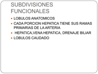 SUBDIVISIONES
FUNCIONALES
 LOBULOS ANATOMICOS
 CADA PORCION HEPATICA TIENE SUS RAMAS

PRIMARIAS DE LA ARTERIA
 HEPATICA,VENA HEPATICA, DRENAJE BILIAR
 LOBULOS CAUDADO

 