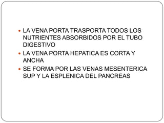  LA VENA PORTA TRASPORTA TODOS LOS

NUTRIENTES ABSORBIDOS POR EL TUBO
DIGESTIVO
 LA VENA PORTA HEPATICA ES CORTA Y
ANCHA
 SE FORMA POR LAS VENAS MESENTERICA
SUP Y LA ESPLENICA DEL PANCREAS

 