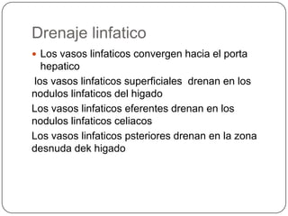 Drenaje linfatico
 Los vasos linfaticos convergen hacia el porta

hepatico
los vasos linfaticos superficiales drenan en los
nodulos linfaticos del higado
Los vasos linfaticos eferentes drenan en los
nodulos linfaticos celiacos
Los vasos linfaticos psteriores drenan en la zona
desnuda dek higado

 