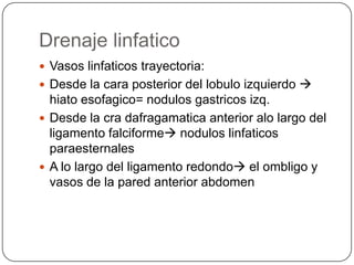 Drenaje linfatico
 Vasos linfaticos trayectoria:
 Desde la cara posterior del lobulo izquierdo 

hiato esofagico= nodulos gastricos izq.
 Desde la cra dafragamatica anterior alo largo del
ligamento falciforme nodulos linfaticos
paraesternales
 A lo largo del ligamento redondo el ombligo y
vasos de la pared anterior abdomen

 