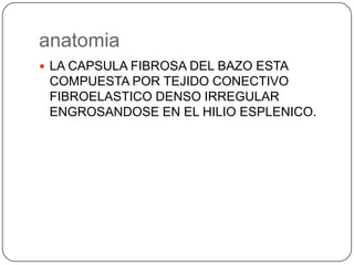 anatomia
 LA CAPSULA FIBROSA DEL BAZO ESTA

COMPUESTA POR TEJIDO CONECTIVO
FIBROELASTICO DENSO IRREGULAR
ENGROSANDOSE EN EL HILIO ESPLENICO.

 