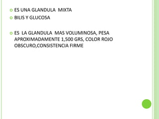  ES UNA GLANDULA MIXTA
 BILIS Y GLUCOSA
 ES LA GLANDULA MAS VOLUMINOSA, PESA
APROXIMADAMENTE 1,500 GRS, COLOR ROJO
OBSCURO,CONSISTENCIA FIRME
 