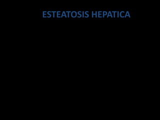 ESTEATOSIS HEPATICA
 