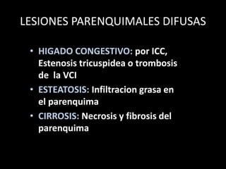 LESIONES PARENQUIMALES DIFUSAS
• HIGADO CONGESTIVO: por ICC,
Estenosis tricuspidea o trombosis
de la VCI
• ESTEATOSIS: Infiltracion grasa en
el parenquima
• CIRROSIS: Necrosis y fibrosis del
parenquima
 
