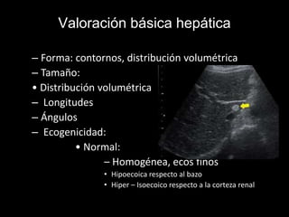 Valoración básica hepática
– Forma: contornos, distribución volumétrica
– Tamaño:
• Distribución volumétrica
– Longitudes
– Ángulos
– Ecogenicidad:
• Normal:
– Homogénea, ecos finos
• Hipoecoica respecto al bazo
• Hiper – Isoecoico respecto a la corteza renal
 