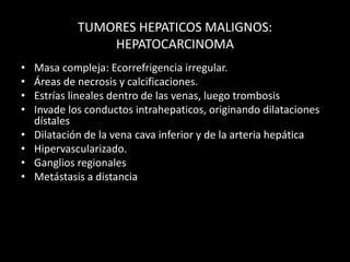 TUMORES HEPATICOS MALIGNOS:
HEPATOCARCINOMA
• Masa compleja: Ecorrefrigencia irregular.
• Áreas de necrosis y calcificaciones.
• Estrías lineales dentro de las venas, luego trombosis
• Invade los conductos intrahepaticos, originando dilataciones
dístales
• Dilatación de la vena cava inferior y de la arteria hepática
• Hipervascularizado.
• Ganglios regionales
• Metástasis a distancia
 