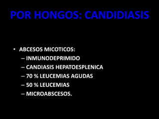 POR HONGOS: CANDIDIASIS
• ABCESOS MICOTICOS:
– INMUNODEPRIMIDO
– CANDIASIS HEPATOESPLENICA
– 70 % LEUCEMIAS AGUDAS
– 50 % LEUCEMIAS
– MICROABSCESOS.
 