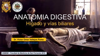 ANATOMIA DIGESTIVA
Hígado y vías biliares
UNMSM – Facultad de Medicina de San Fernando 2016
vvallejospoma@gmail.com
Dr. Víctor Omar Vallejos Poma
 