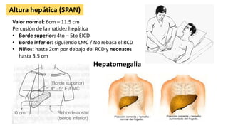 Altura hepática (SPAN)
Valor normal: 6cm – 11.5 cm
Percusión de la matidez hepática
• Borde superior: 4to – 5to EICD
• Borde inferior: siguiendo LMC / No rebasa el RCD
• Niños: hasta 2cm por debajo del RCD y neonatos
hasta 3.5 cm
Hepatomegalia
 