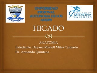 ANATOMIA
Estudiante: Dayana Mishell Mites Calderón
Dr. Armando Quintana
 