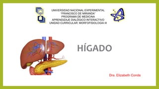 UNIVERSIDAD NACIONAL EXPERIMENTAL
“FRANCISCO DE MIRANDA”
PROGRAMA DE MEDICINA
APRENDIZAJE DIALÓGICO INTERACTIVO
UNIDAD CURRICULAR: MORFOFISIOLOGIA III
HÍGADO
Dra. Elizabeth Conde
 