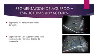 HIGADO PRESENTACION ECOGRAFIA GENERAL DEL HIGADO | PPTX