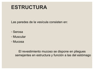 ESTRUCTURA
Las paredes de la vesícula consisten en:
◦ Serosa
◦ Muscular
◦ Mucosa
El revestimiento mucoso se dispone en pliegues
semejantes en estructura y función a las del estómago
 