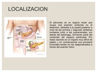 LOCALIZACION
◦ El páncreas es un órgano impar que
ocupa una posición profunda en el
abdomen, adosado a su pared posterior a
nivel de las primera y segunda vértebras
lumbares junto a las suprarrenales, por
detrás del estómago, formando parte del
contenido del espacio peritoneal. Por
estas razones es un órgano muy difícil de
palpar y en consecuencia sus procesos
tumorales tardan en ser diagnosticados a
través del examen físico
 