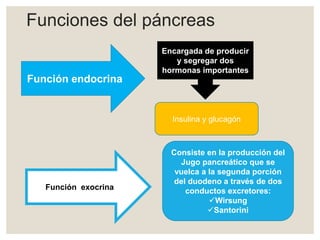 Función endocrina
Función exocrina
Encargada de producir
y segregar dos
hormonas importantes
Insulina y glucagón
Consiste en la producción del
Jugo pancreático que se
vuelca a la segunda porción
del duodeno a través de dos
conductos excretores:
Wirsung
Santorini
Funciones del páncreas
 