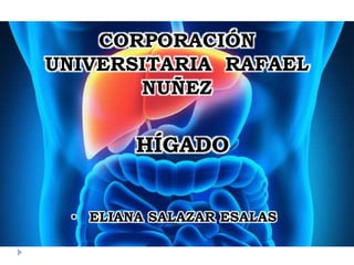 CORPORACIÓN
UNIVERSITARIA RAFAEL
NUÑEZ
HÍGADO
• ELIANA SALAZAR ESALAS
 