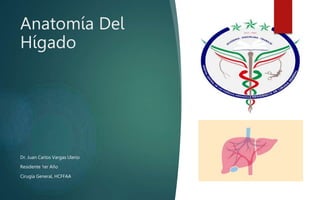 Anatomía Del
Hígado
Dr. Juan Carlos Vargas Ulerio
Residente 1er Año
Cirugía General, HCFFAA
 