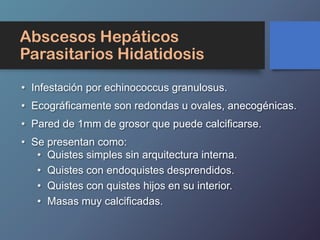 Abscesos Hepáticos
Parasitarios Hidatidosis
• Infestación por echinococcus granulosus.
• Ecográficamente son redondas u ovales, anecogénicas.
• Pared de 1mm de grosor que puede calcificarse.
• Se presentan como:
• Quistes simples sin arquitectura interna.
• Quistes con endoquistes desprendidos.
• Quistes con quistes hijos en su interior.
• Masas muy calcificadas.
 