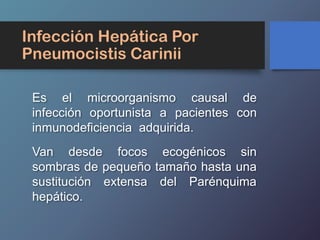 Infección Hepática Por
Pneumocistis Carinii
Es el microorganismo causal de
infección oportunista a pacientes con
inmunodeficiencia adquirida.
Van desde focos ecogénicos sin
sombras de pequeño tamaño hasta una
sustitución extensa del Parénquima
hepático.
 