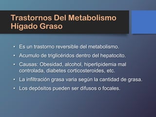 Trastornos Del Metabolismo
Hígado Graso
• Es un trastorno reversible del metabolismo.
• Acumulo de triglicéridos dentro del hepatocito.
• Causas: Obesidad, alcohol, hiperlipidemia mal
controlada, diabetes corticosteroides, etc.
• La infiltración grasa varia según la cantidad de grasa.
• Los depósitos pueden ser difusos o focales.
 