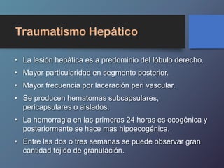 Traumatismo Hepático
• La lesión hepática es a predominio del lóbulo derecho.
• Mayor particularidad en segmento posterior.
• Mayor frecuencia por laceración peri vascular.
• Se producen hematomas subcapsulares,
pericapsulares o aislados.
• La hemorragia en las primeras 24 horas es ecogénica y
posteriormente se hace mas hipoecogénica.
• Entre las dos o tres semanas se puede observar gran
cantidad tejido de granulación.
 