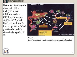 “Curso de Anatomía Humana:
      Carrera de Médico Cirujano”


Opciones futuras para
elevar el HDL-C
incluyen otros
inhibidores de la
CETP, compuestos
sintéticos “ApoA1
like”, activadores de
los receptores ABCA1
y activadores de la
síntesis de ApoA1.15-
16
                                    Fuente:
                                    http://www.sac.org.ar/web/es/ateneo-de-epidemiologia-1




                                                                                             31
 