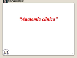 “Curso de Anatomía Humana:
 Carrera de Médico Cirujano”




                    “Anatomía clínica”




                                         43
 