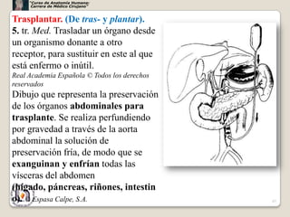 “Curso de Anatomía Humana:
      Carrera de Médico Cirujano”


Trasplantar. (De tras- y plantar).
5. tr. Med. Trasladar un órgano desde
un organismo donante a otro
receptor, para sustituir en este al que
está enfermo o inútil.
Real Academia Española © Todos los derechos
reservados
Dibujo que representa la preservación
de los órganos abdominales para
trasplante. Se realiza perfundiendo
por gravedad a través de la aorta
abdominal la solución de
preservación fría, de modo que se
exanguinan y enfrían todas las
vísceras del abdomen
(hígado, páncreas, riñones, intestin
o). © Espasa Calpe, S.A.                      67
 