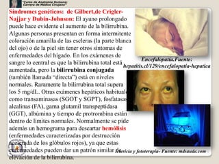 “Curso de Anatomía Humana:
      Carrera de Médico Cirujano”

Síndromes genéticos: de Gilbert,de Crigler-
Najjar y Dubin-Johnson: El ayuno prolongado
puede hace evidente el aumento de la bilirrubina.
Algunas personas presentan en forma intermitente
coloración amarilla de las escleras (la parte blanca
del ojo) o de la piel sin tener otros síntomas de
enfermedades del hígado. En los exámenes de
                                                            Encefalopatía.Fuente:
sangre lo central es que la bilirrubina total está
                                                   hepatitis.cl/129/encefalopatia-hepatica
aumentada, pero la bilirrubina conjugada
(también llamada “directa”) está en niveles
normales. Raramente la bilirrubina total supera
los 5 mg/dL. Otras exámenes hepáticos habituales
como transaminasas (SGOT y SGPT), fosfatasas
alcalinas (FA), gama glutamil transpeptidasa
(GGT), albúmina y tiempo de protrombina están
dentro de límites normales. Normalmente se pide
además un hemograma para descartar hemólisis
(enfermedades caracterizadas por destrucción
acelerada de los glóbulos rojos), ya que estas
enfermedades pueden dar un patrón similar Ictericia y fototerapia- Fuente: mdsaude.com73
                                               de
elevación de la bilirrubina.
 