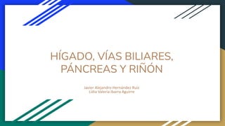 HÍGADO, VÍAS BILIARES,
PÁNCREAS Y RIÑÓN
Javier Alejandro Hernández Ruiz
Lidia Valeria Ibarra Aguirre
 