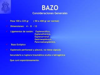 BAZO Consideraciones Generales Pesa 100 a 225 gr  ( 50 a 400 gr ser normal) Dimensiones:  4 -  8  - 12 Ligamentos de sostén:  Esplenocólico. Esplenofrénico. Esplenorrenal. Gastroesplénico. Pancreatoesplénico. Bazo Ectópico Esplenosis peritoneal y pleural, no tiene cápsula Secundario a ruptura traumática oculta o Iatrogénica Que curó espontáneamente. 